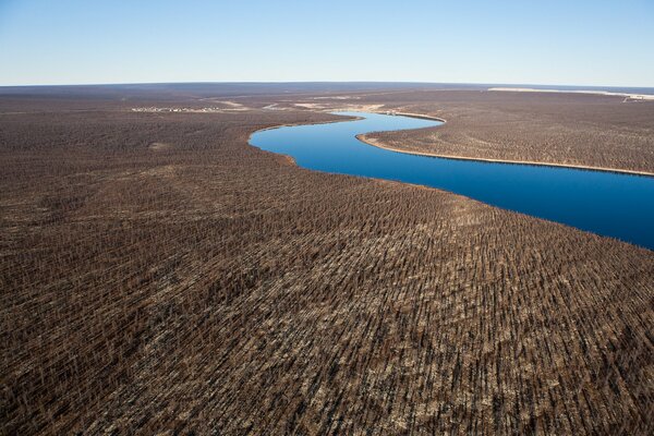 Bosque y río a vista de pájaro