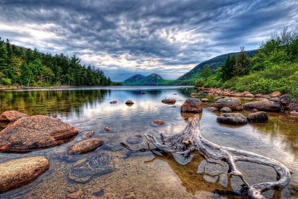 Driftwood and rocks in the lake, flanked by a green forest