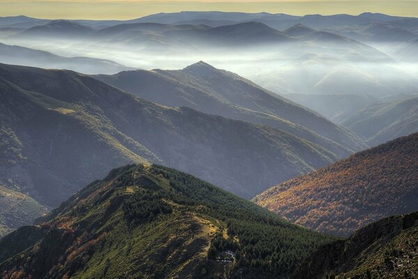 Colinas boscosas inundadas de niebla