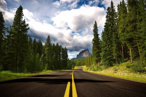 The road through the forest to the mountains. Trees and forest