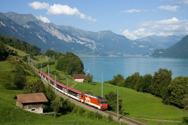 A running train among the greenery