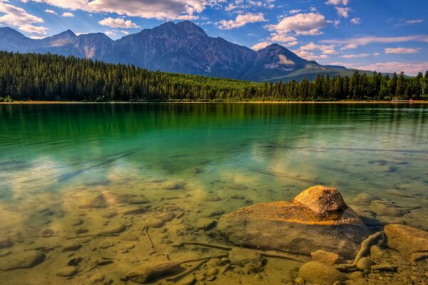 Lago rodeado de bosques y picos de montaña