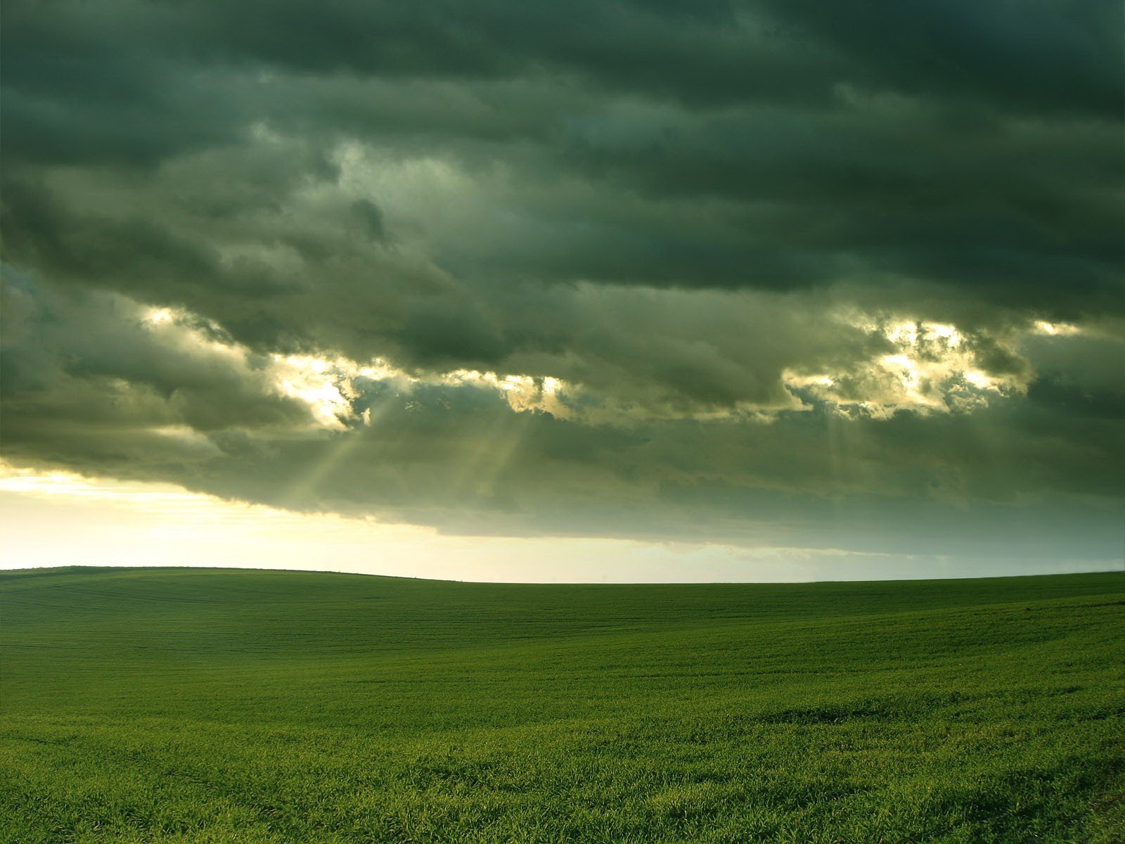 campo nuvole luce erba