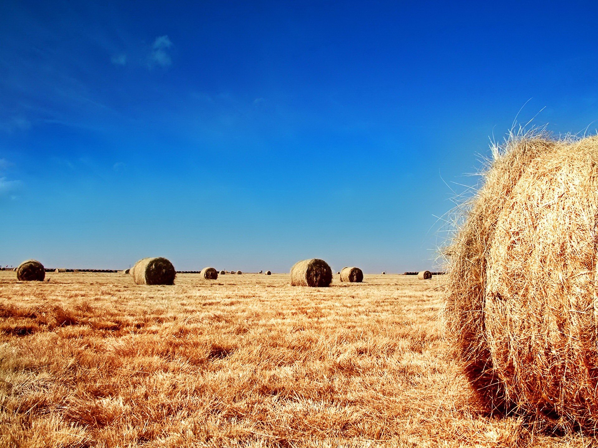 campo paja cielo pacas