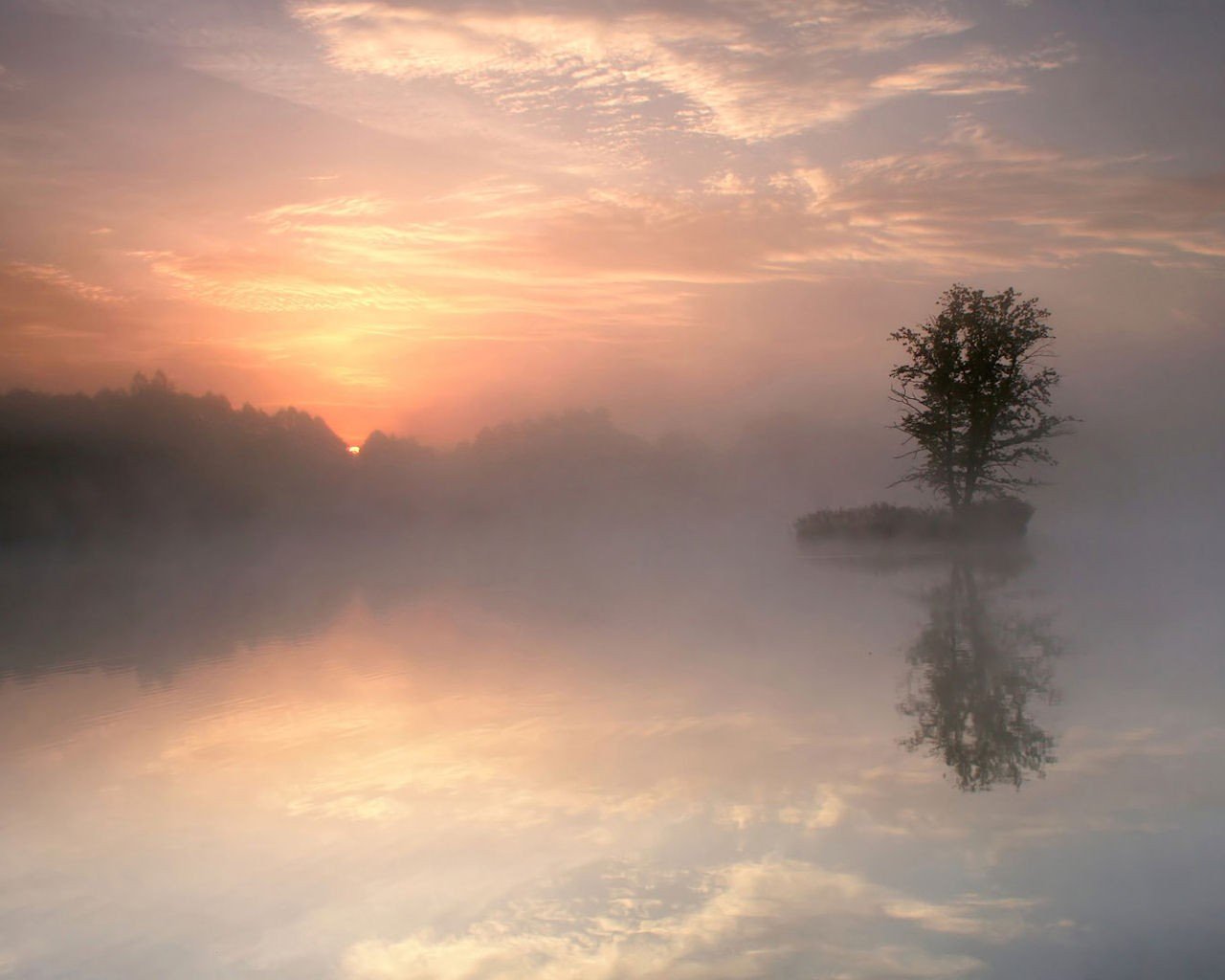 matin réflexion lac brouillard arbre