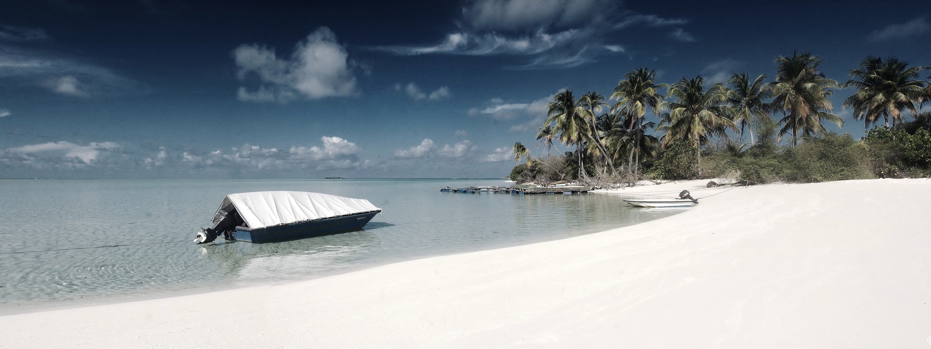 beach boat palm