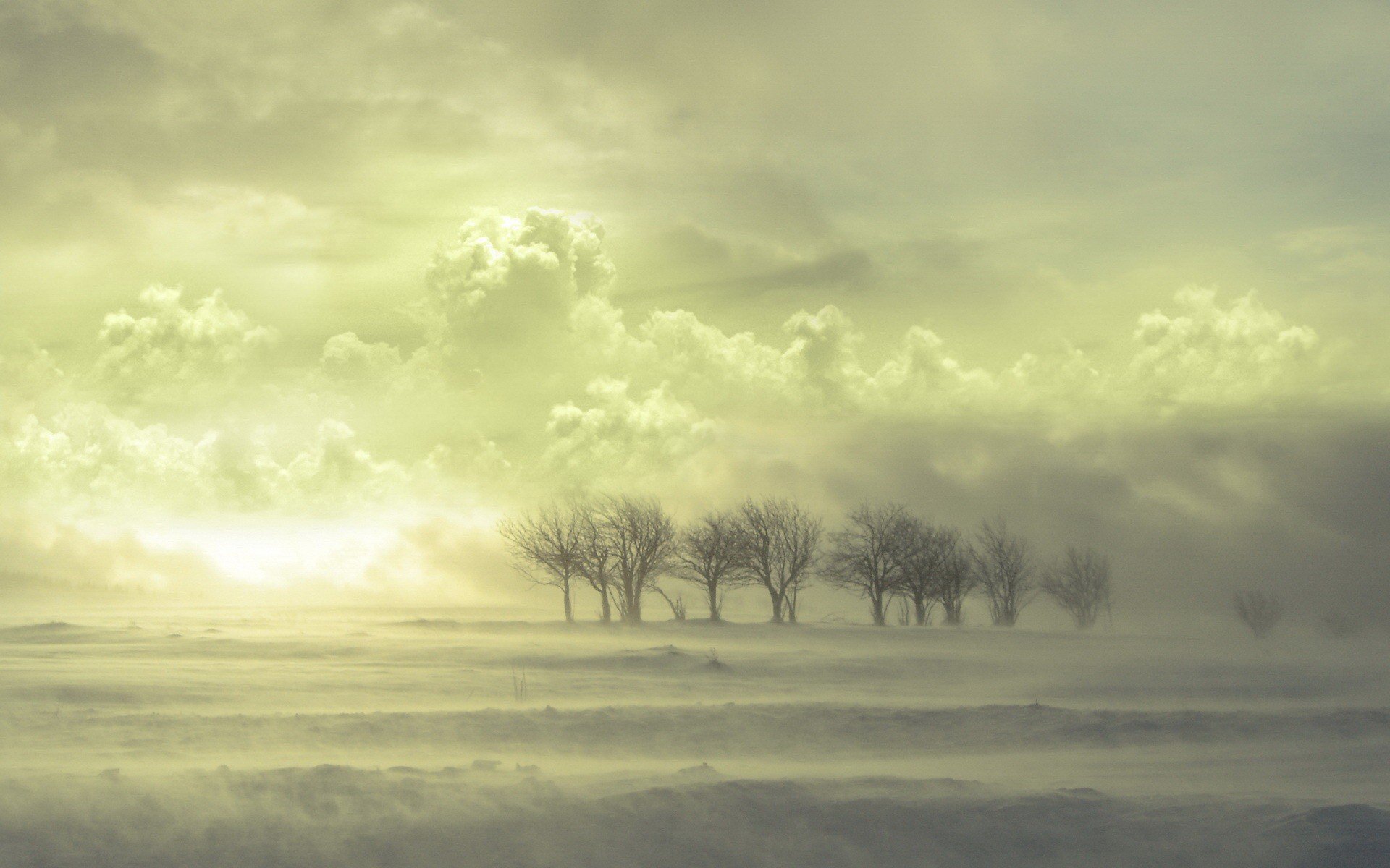 arbres nuages neige