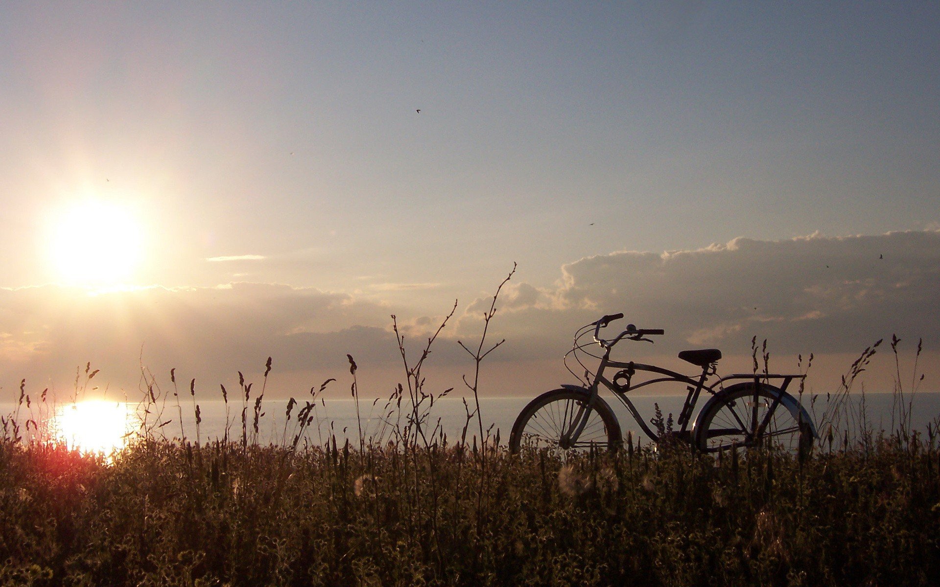 bicicleta sol hierba