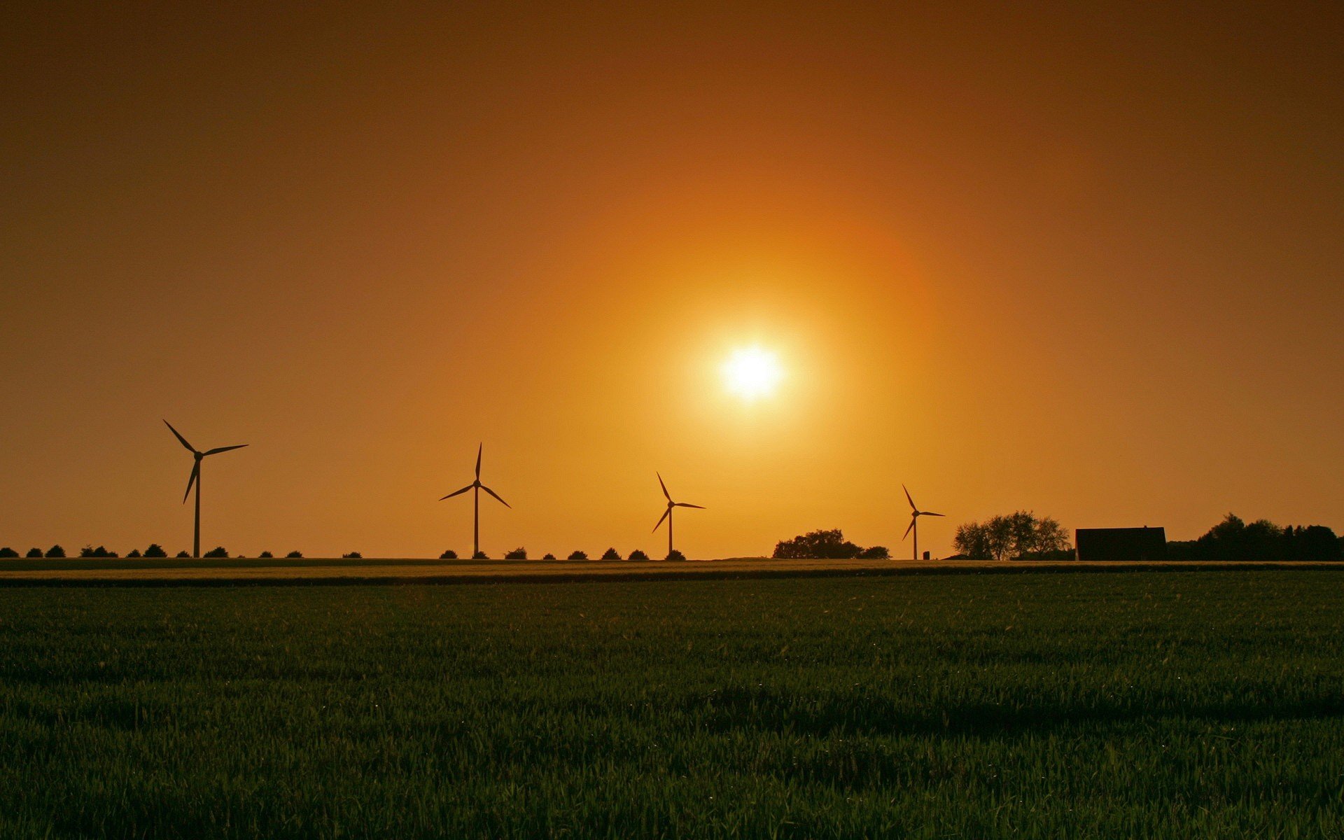 the field a windmill sun