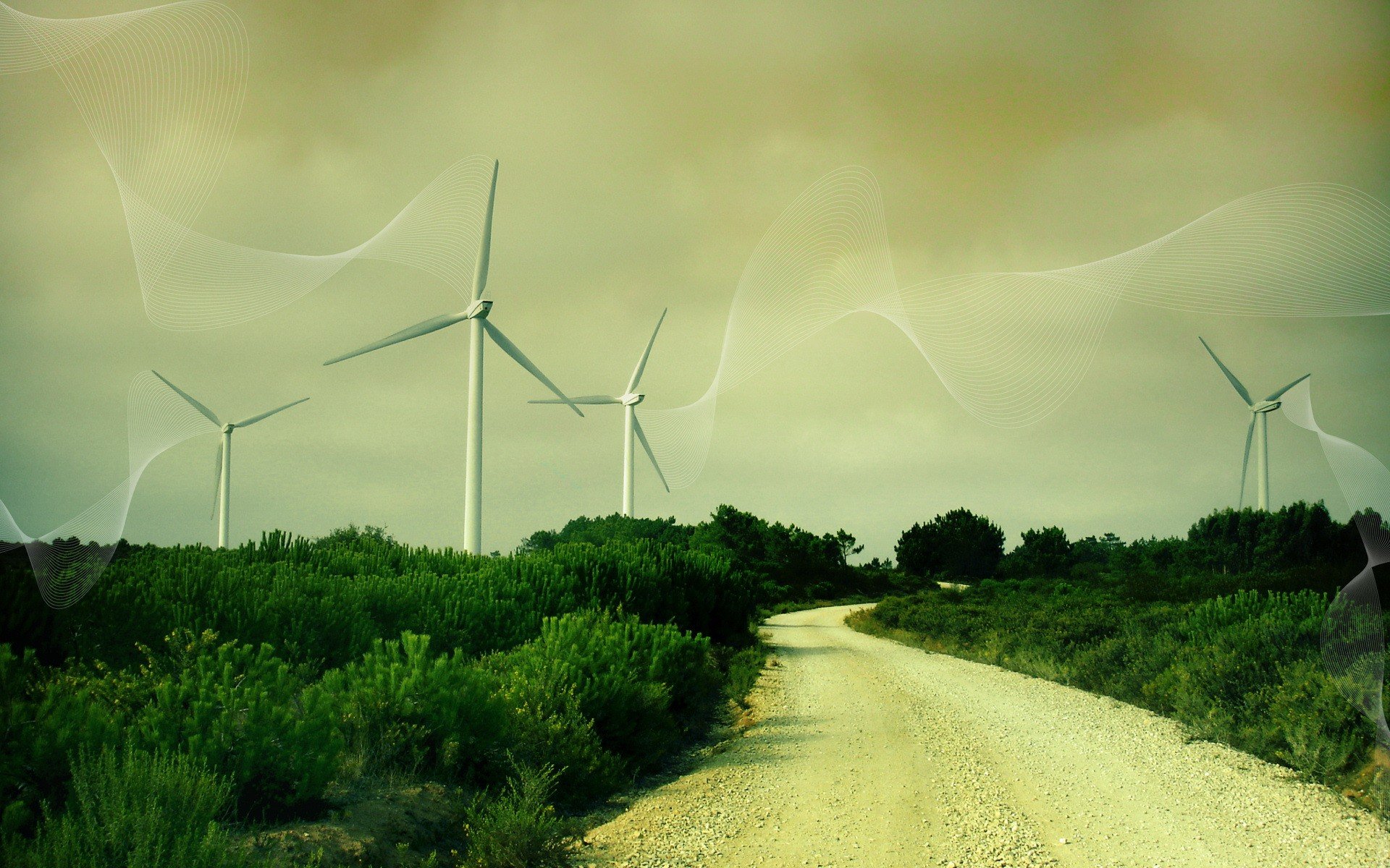 molinos de viento carretera hierba líneas