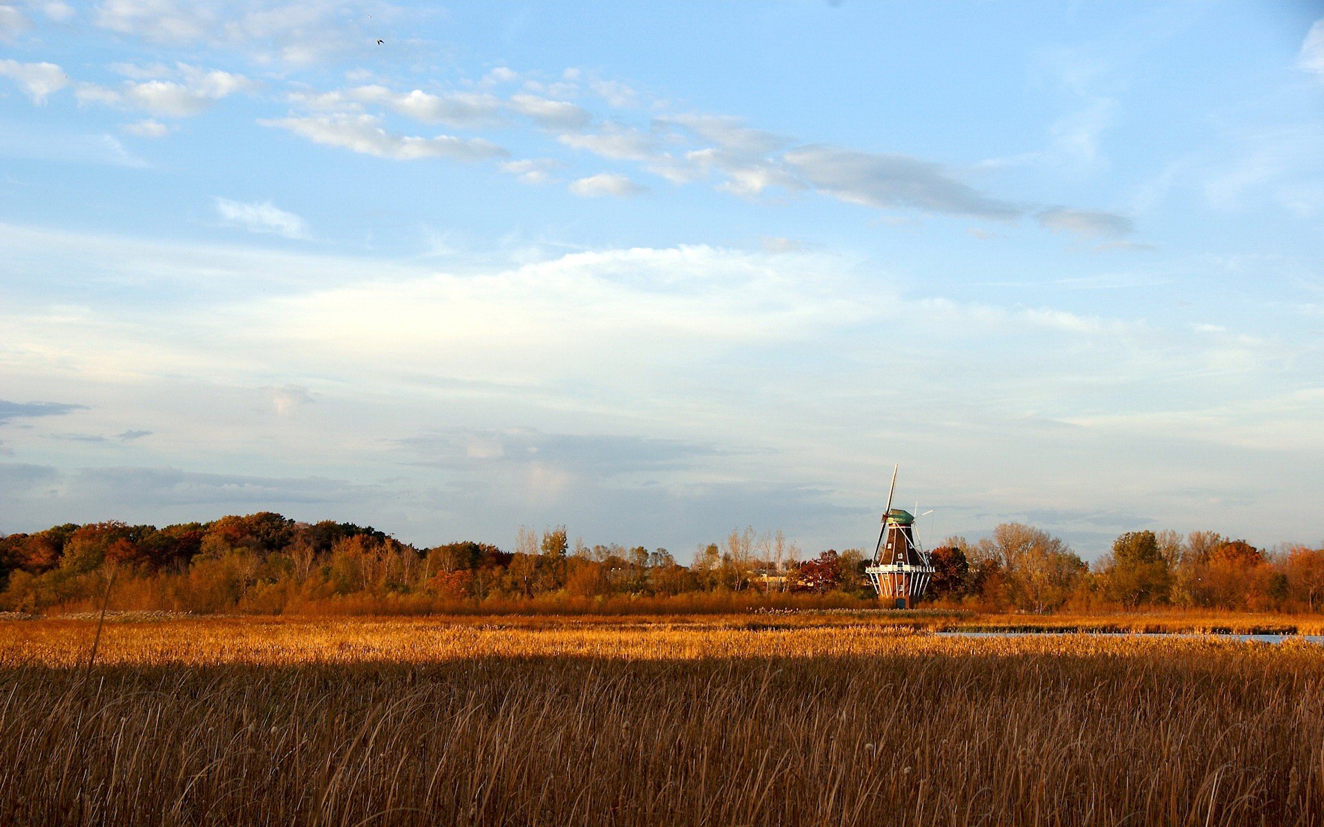 gras bäume wolken mühle