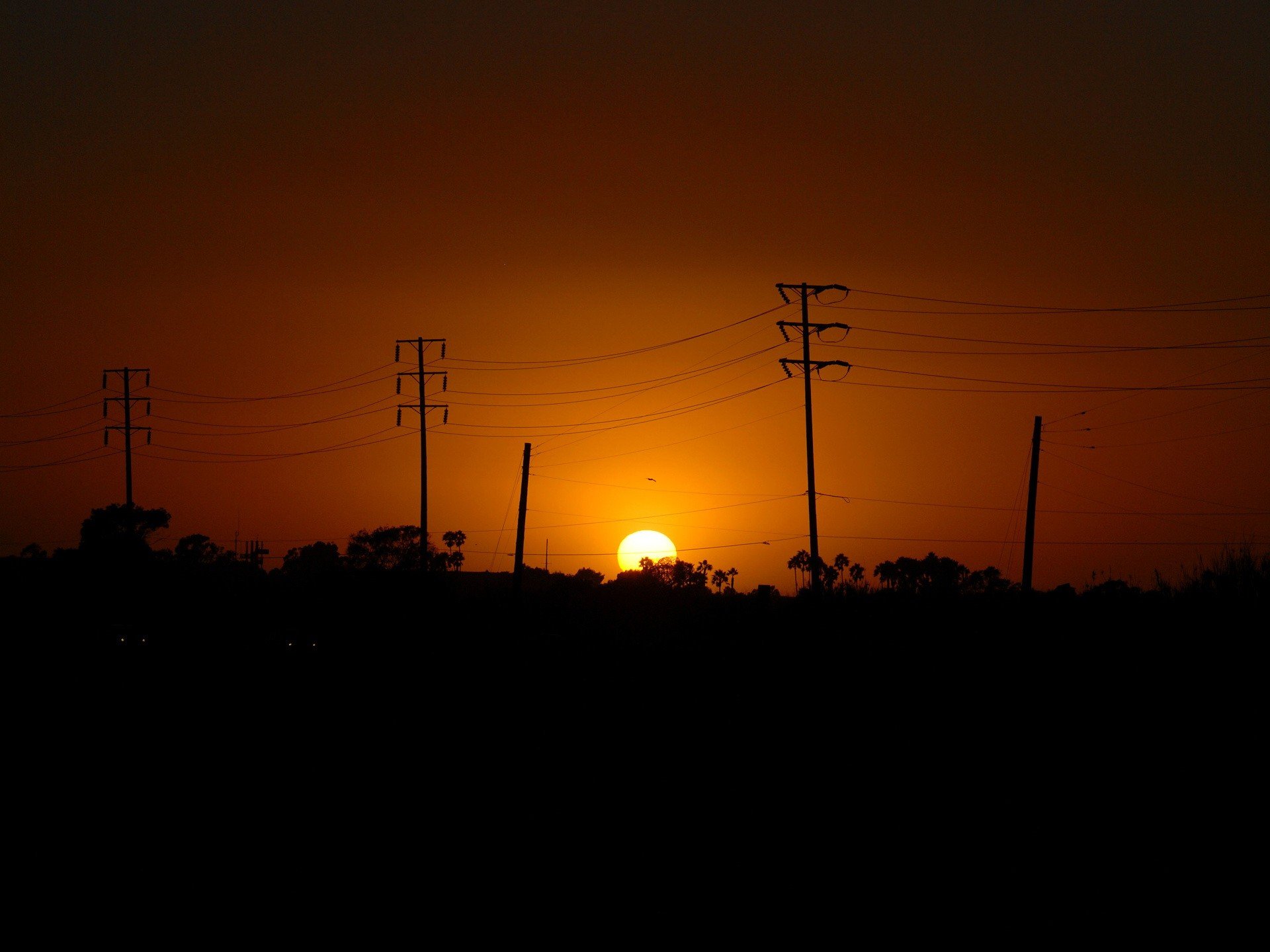 sole fili pali tramonto