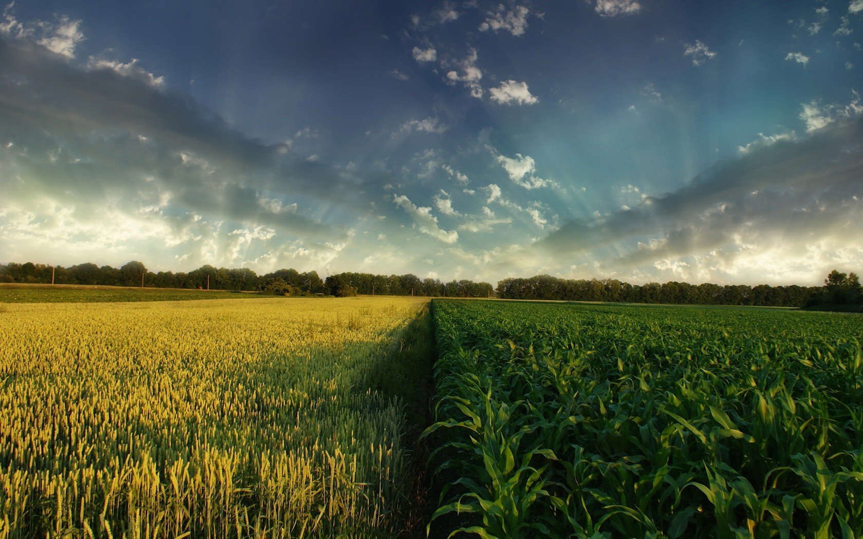 campo nubes cielo