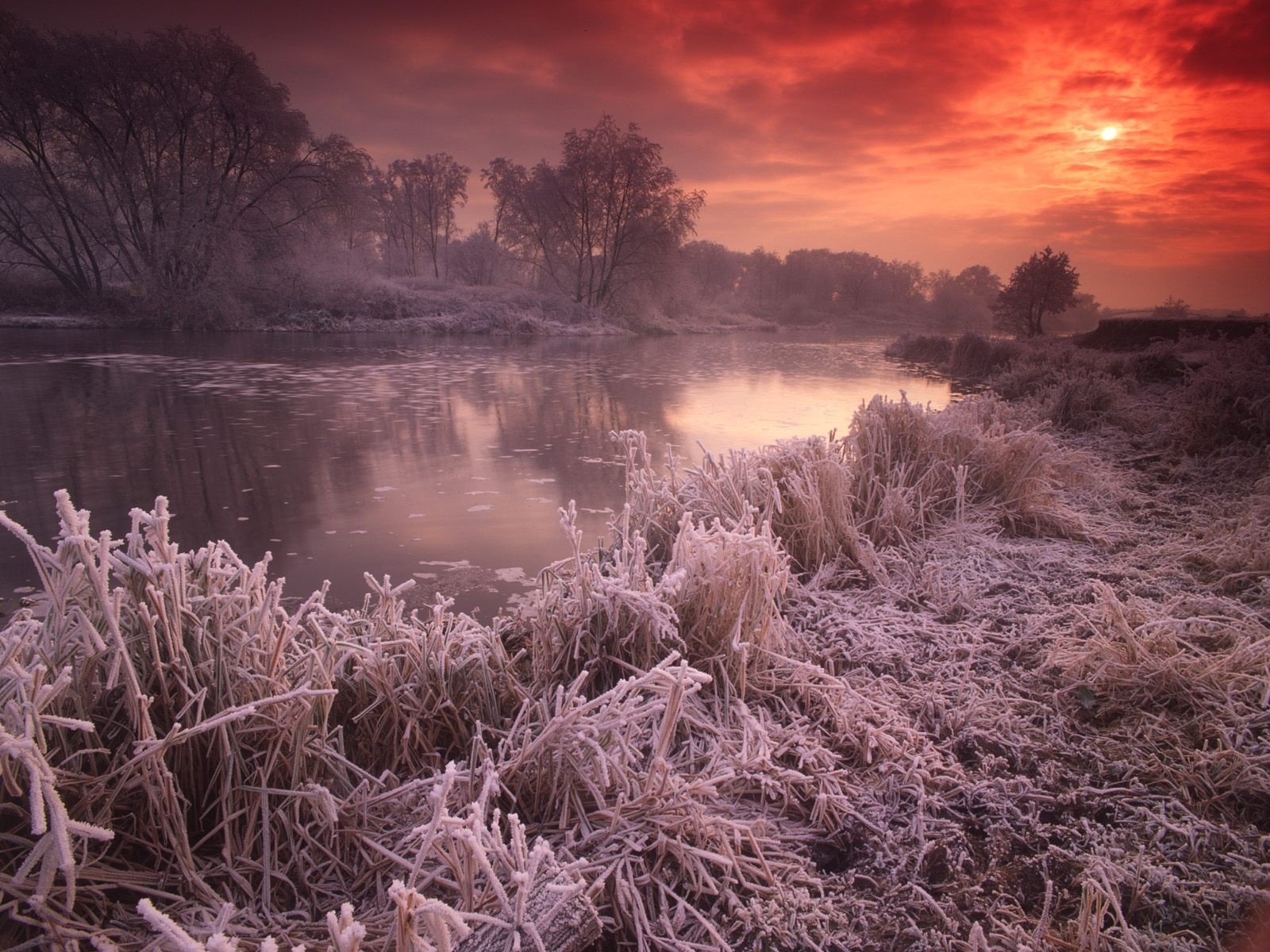 royaume-uni rivière coucher de soleil givre soleil automne