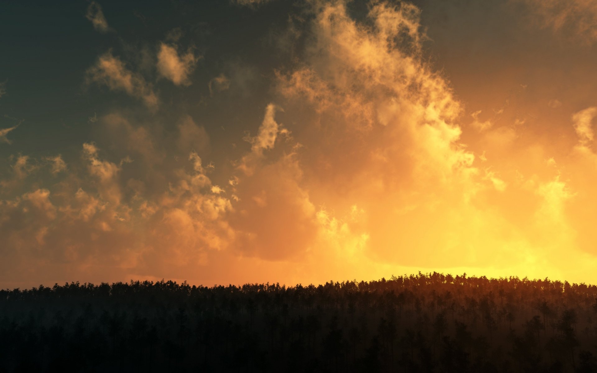 wolken bäume sonnenuntergang