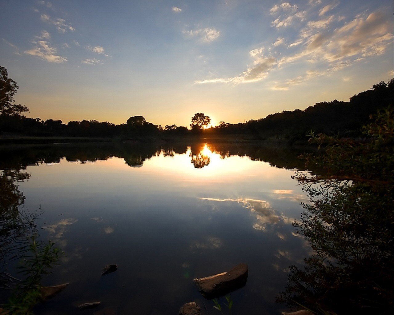 lake sunset tree