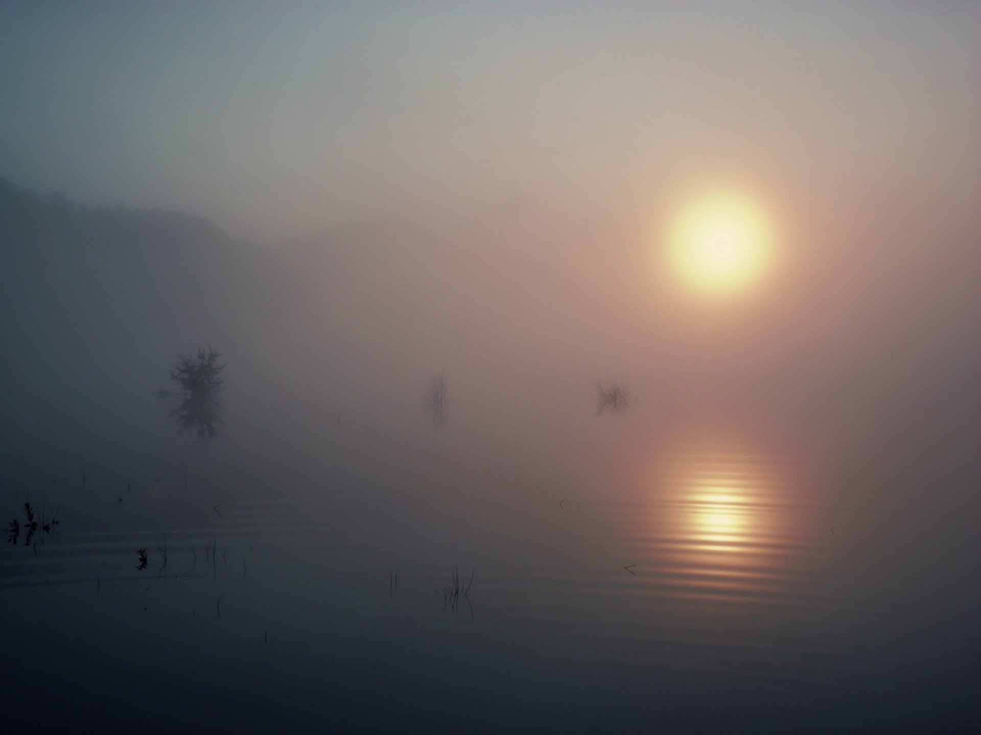 lago nebbia sole