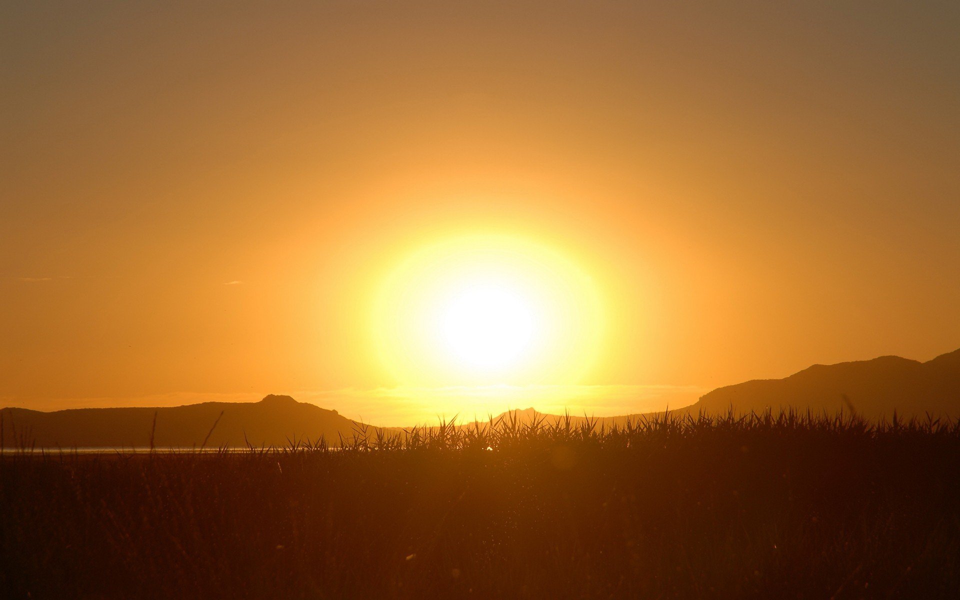 un grass sunset