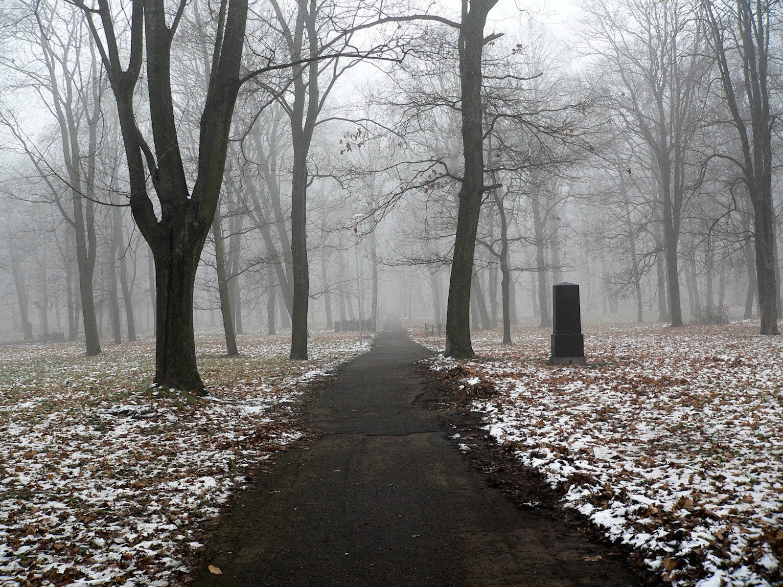 szlak pomnik śnieg drzewa mgła jesień