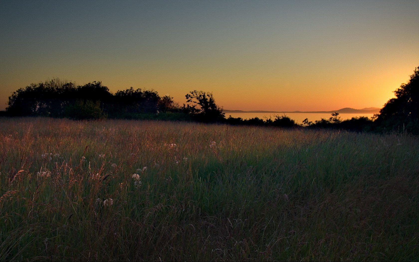 lichtung gras sonnenuntergang bäume