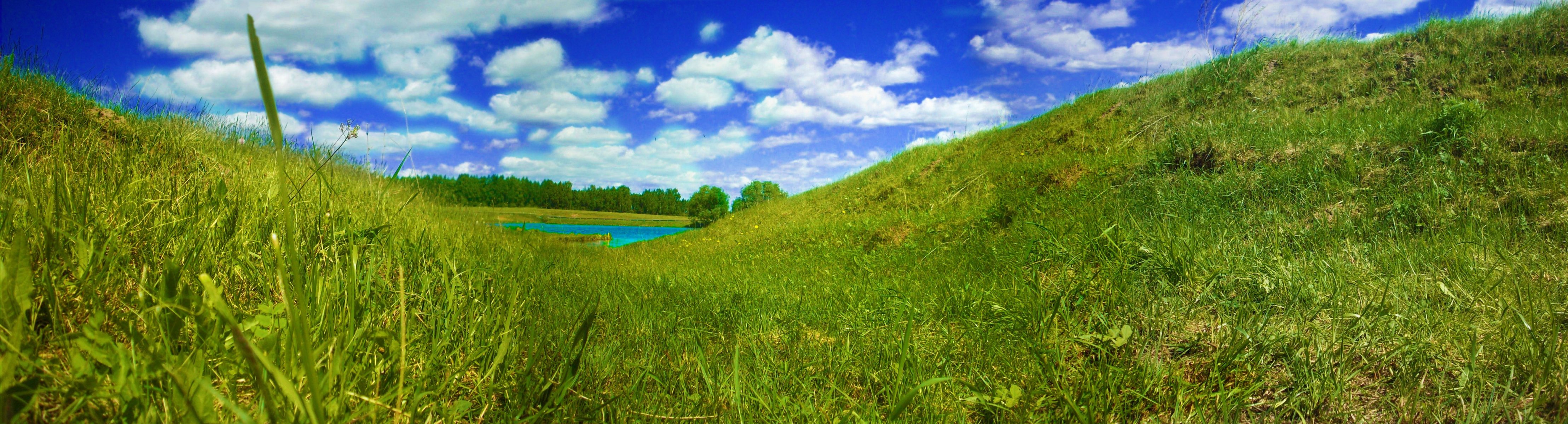 fluss himmel gras schmetterling vögel sommer panorama