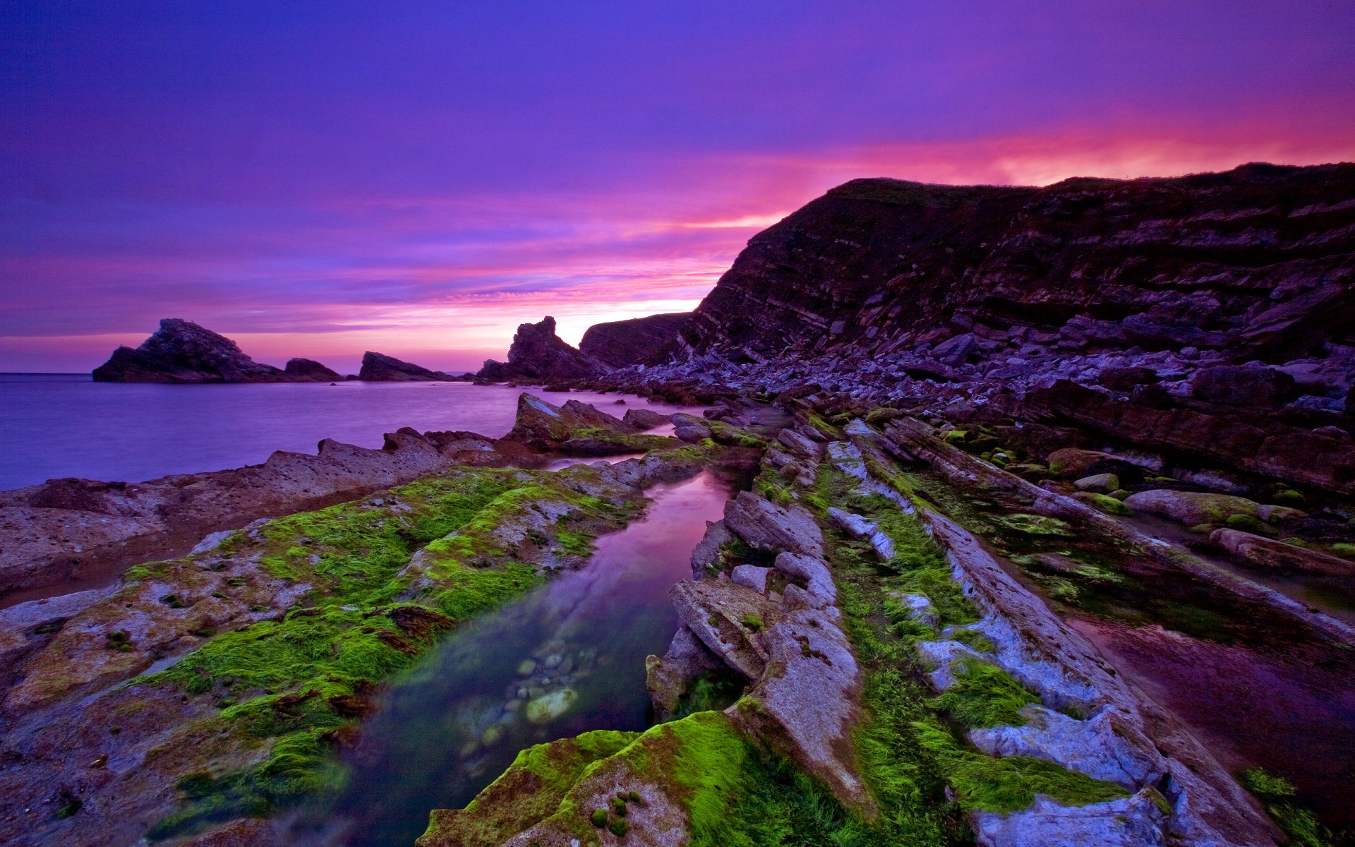 tones moss water rock