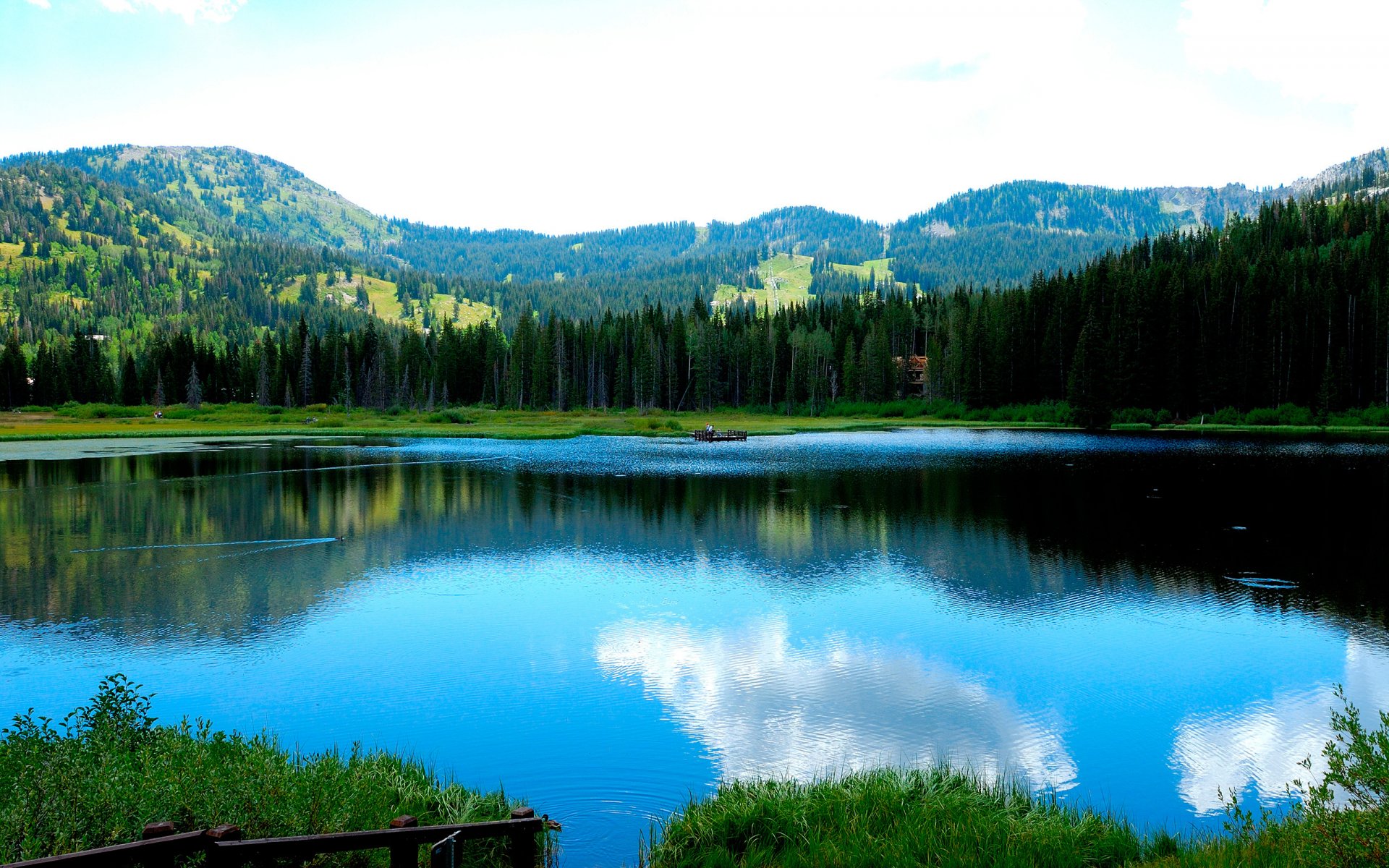 lago montagne foresta