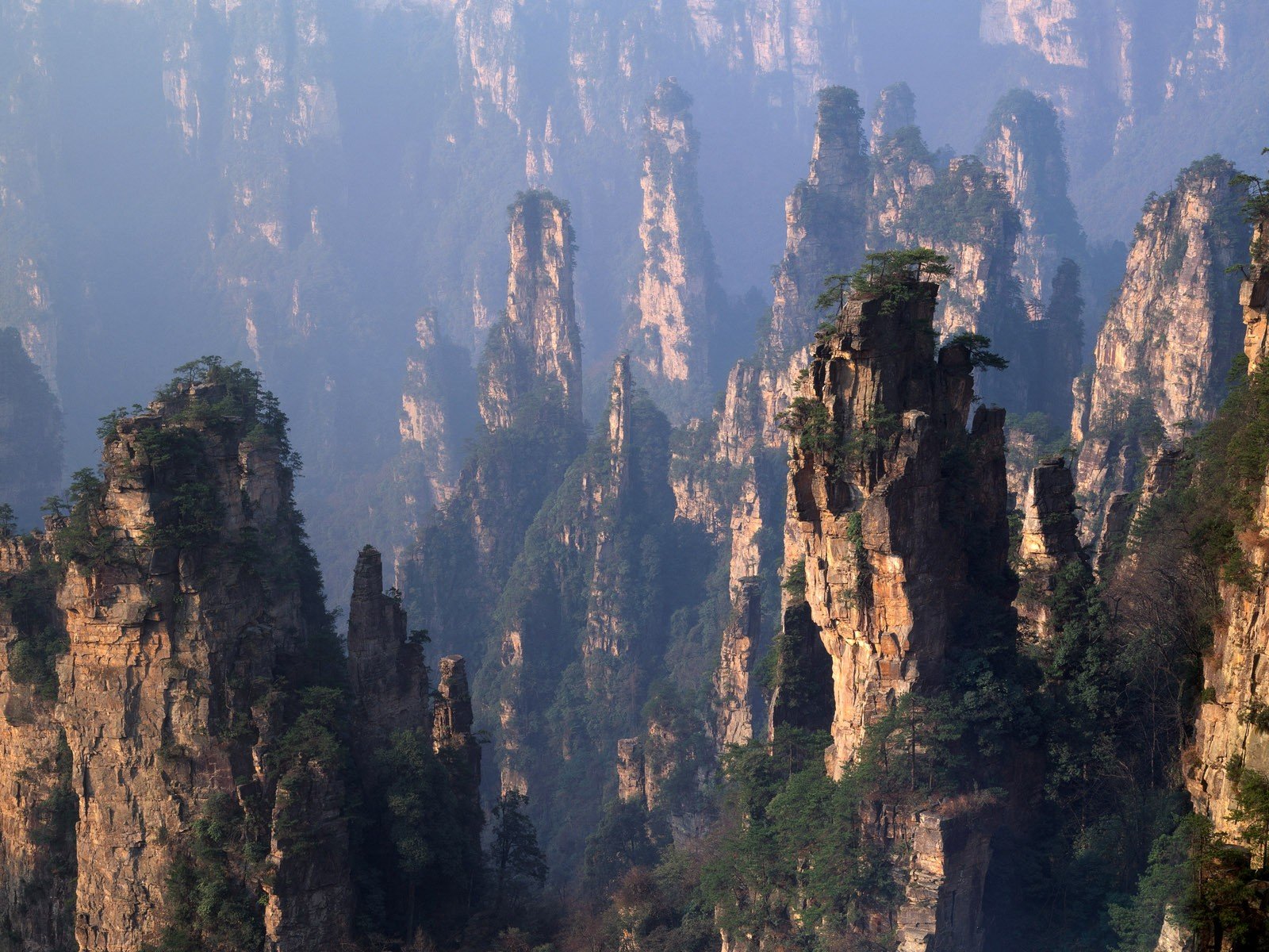 mountain china forest