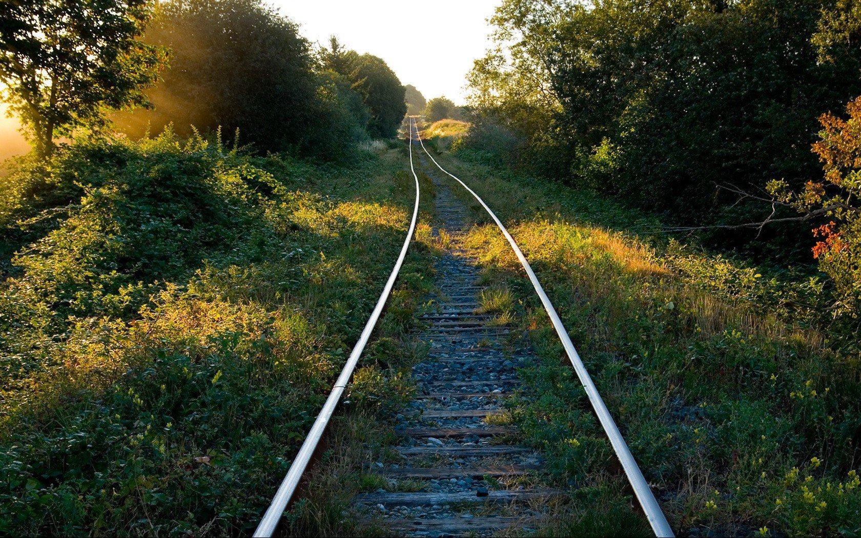 ferrocarril camino hierba árboles