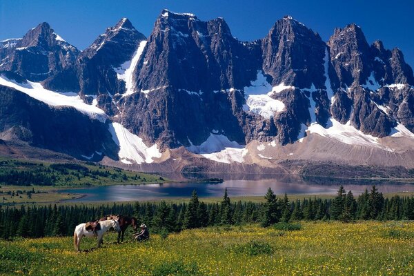 Prados canadienses en medio de montañas cubiertas de nieve