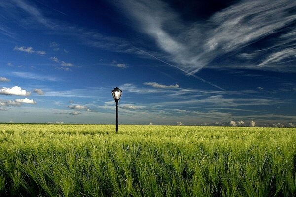 Ungewöhnliche Wolkenformen im Feld