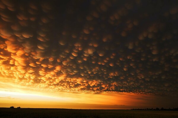 Porous clouds at sunset in the field