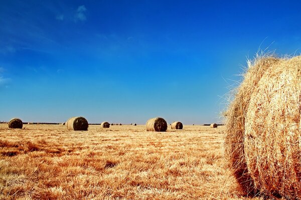 A mown field where straw lies in bales, against a bright blue sky