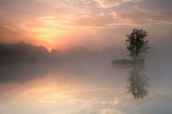 Nebliger Morgen am See im Dorf