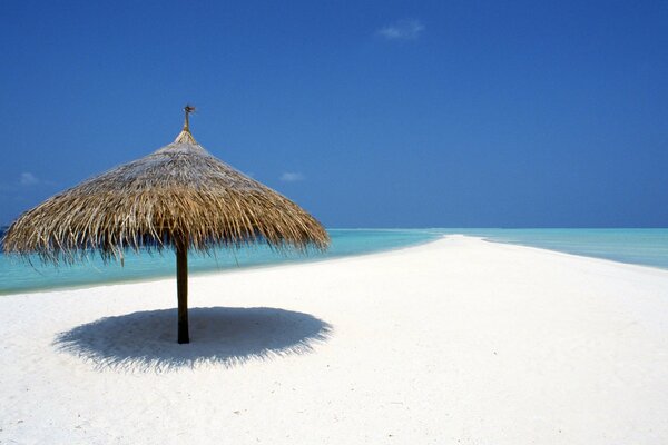 Tropical sandy beach with a canopy