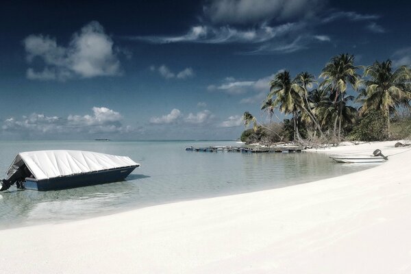 Лодка на берегу с пальмами