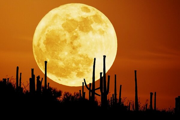 A huge moon against the silhouettes of a desert landscape