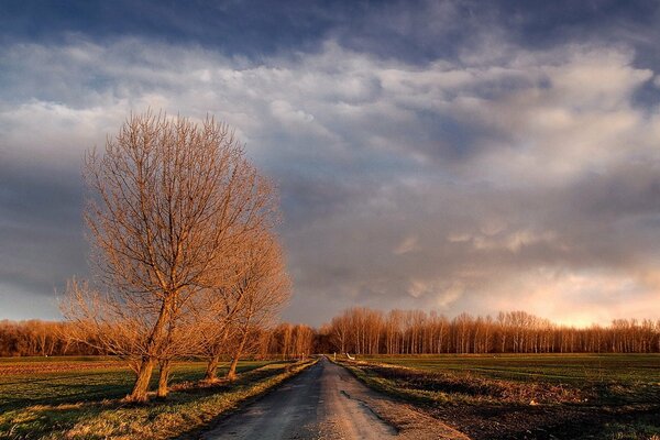 Route natale sous les nuages d automne