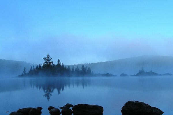 Niebla azul con isla de bosque