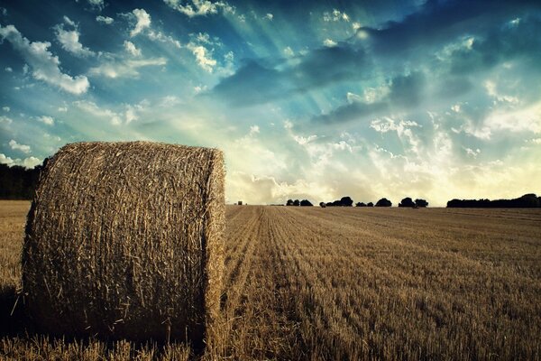 Nuages de ciel. Champ. Fenaison