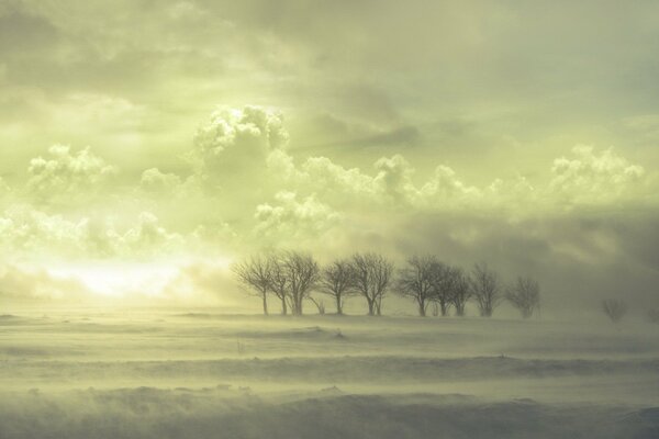 Strenger Winter auf dem Feld