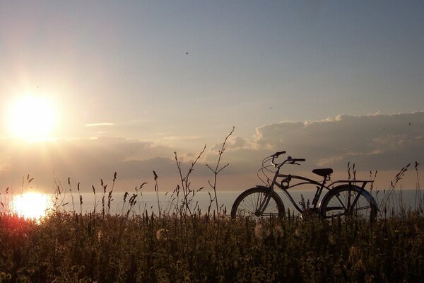 Sunny weather and bike