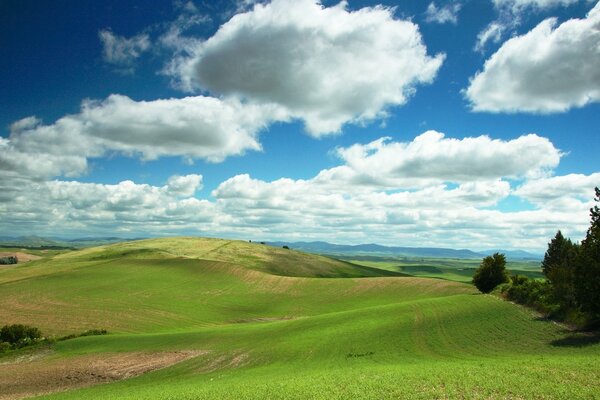 Green hills under snow-white clouds