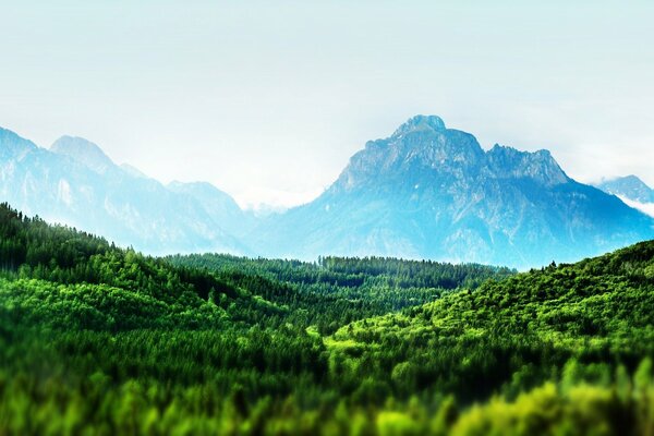 Landschaft mit Bergen und Grün