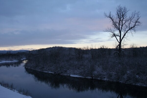 Rivière d hiver dans la forêt au crépuscule