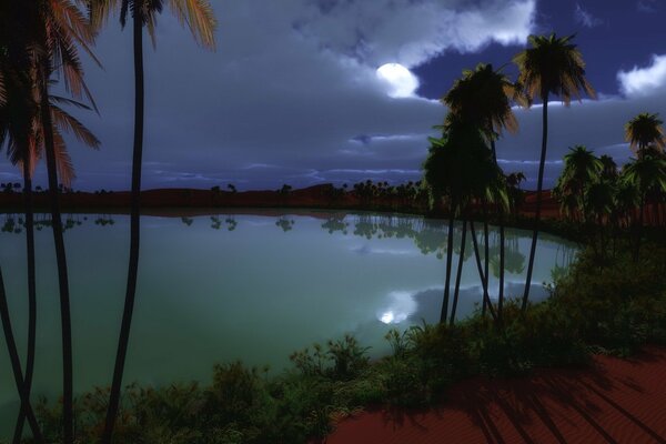 Palm trees on the background of the lake