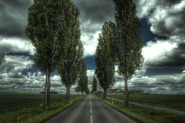 An asphalt road between fields with trees on the roadsides and a stormy dark sky