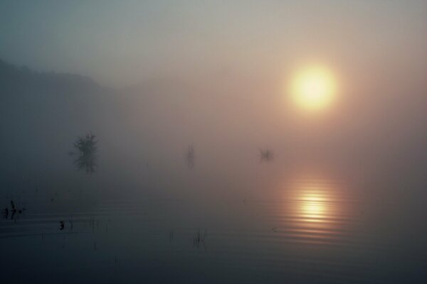 Die Sonne spiegelt sich in dem See wider, der den Nebel umhüllt hat