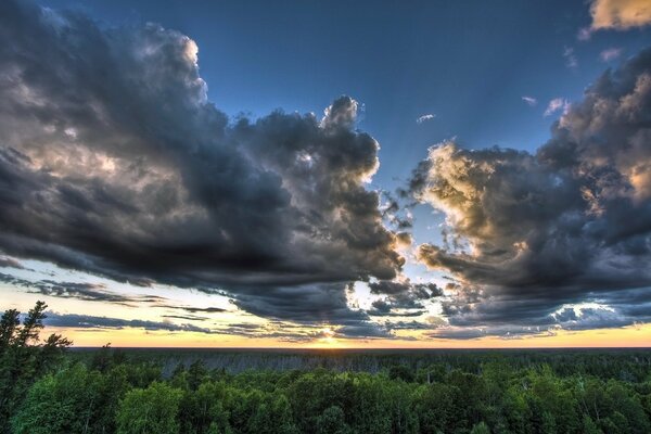 Low clouds in the sky above the forest