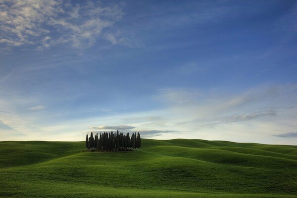 Paesaggio collinare in una giornata limpida